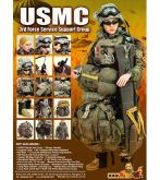 Hot Toys 3rd Force Service Support Group USMC